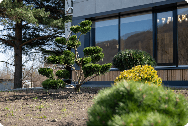 Фото бассейна